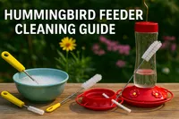 img of The Ultimate Hummingbird Feeder Cleaning Guide (Stop Mold Now)