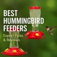 img of Best Hummingbird Feeders