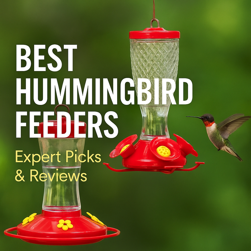 img of Best Hummingbird Feeders